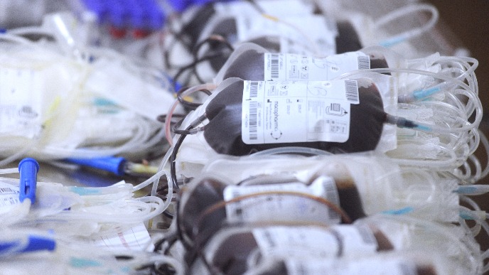 Davanje krvi u hramovima